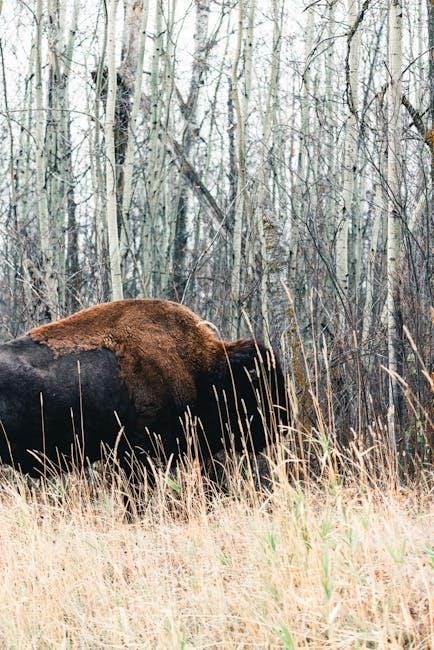 edmonton movie guide south edmonton common