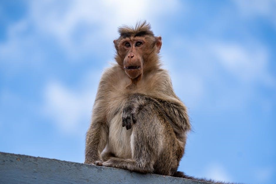 behavior rating inventory of executive function free pdf