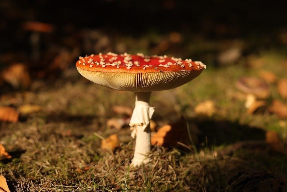 ohio mushroom identification guide